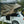 Sad Lad 'Fyld' Rooftop Tent- Olive